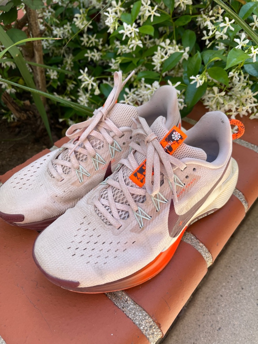 Nike Pegasus Trail 5 Size 6.5